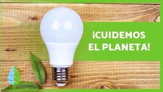 10 ACCIONES para CUIDAR el MEDIO AMBIENTE 🌏✅ [upl. by Swanhildas116]