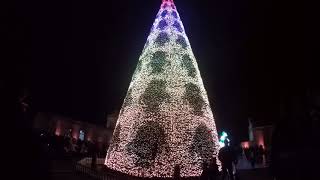 Longleat Singing Christmas Tree Show [upl. by Nasas]