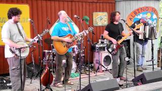 The Gourds  County Orange  Albino Skunk Fest 1st set 100811 [upl. by Waterman417]