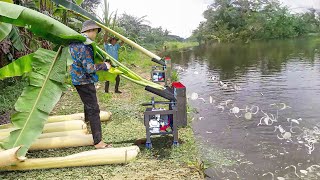 Genius Way They Feed Thousands of Fish With Banana Tree Slicers [upl. by Vin185]