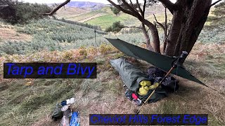 Tarp and Bivy on the edge of a Cheviot Hills Forest [upl. by Laehcim]