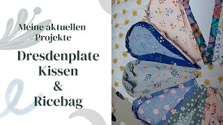 Nähprojekte dresdenplate cushion aus dem Buch quiltpetite amp ricebag pamistyle [upl. by Narcis956]