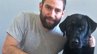 Watch how a dog helped one veteran conquer his PTSD [upl. by Florian]