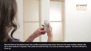 Motorised Roller Blind  Reset Procedure [upl. by Inram]