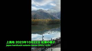 上高地 2023年10月22日 紅葉の様子 japan kamikochi autumn leaves 20231022 [upl. by Phelan]