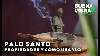 Beneficios del Palo Santo usos de la madera sagrada [upl. by Hesketh]