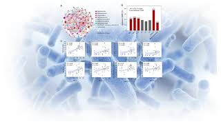 Community assembly of rice paddy soil methanogens [upl. by Zerline]