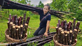 Harvest sugarcane to sell at market  weeding the vegetable garden l Lý Thị Sai [upl. by Waligore112]