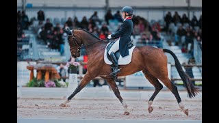 EQUESTRIAN DAVID HUNT • UNDERSTANDING DRESSAGE • BASIC ASSESSMENT [upl. by Bunde84]