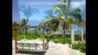 Hotel Catalonia Playa Maroma Privileged 5 [upl. by Neffirg462]