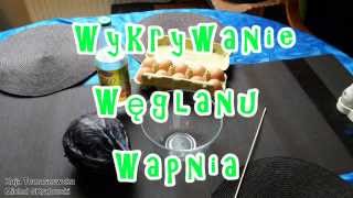 Wykrywanie Węglanu Wapnia [upl. by Nessy]