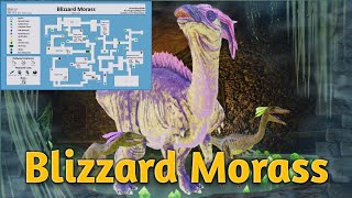 Blizzard Morass Dungeon  Ark Mobile arkmobile arkmobiledungeon dungeonarkmobile [upl. by Kisor]