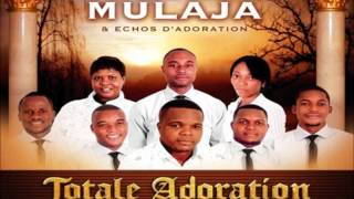 Ozali Nzambe Franck Mulaja et Echos dadoration  Worship Fever Channel [upl. by Celinka]