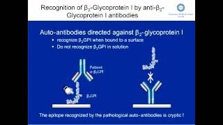 ISTH Academy Presentation New mechanistic understanding in APS [upl. by Aleahcim]