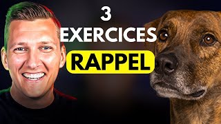 Apprendre le RAPPEL à Son Chien ou Chiot Facilement et Rapidement [upl. by Agnese832]