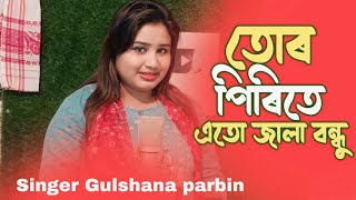 tor premete ato jala bondhu age janina bangla song Singer Gulshana Parbin singergulsanaparbin [upl. by Quenby]