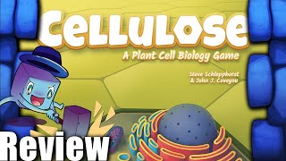 Cellulose A Plant Cell Biology Game Review with Tom Vasel [upl. by Kayley855]