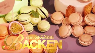 Das große Backen 2014  Macarons Klein aber oho [upl. by Venezia682]