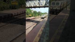 15159 Sarnath Express train railway shorts viralshort viralvideos indianrailways india [upl. by Kcirrag272]