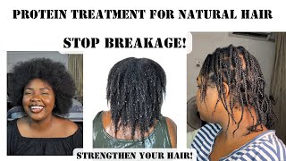 How to use protein treatment on mini braids to stop breakage  natural hair growth [upl. by Malchus]