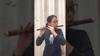 Double Tonguing Technique Practice E key dizi flute diziflute [upl. by Onileva833]