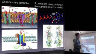 Biophysical Chemistry 2016 lecture 1 [upl. by Hut240]