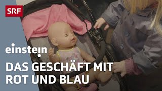 Was Geschlechterrollen amp Klischees mit Kindern machen  Gendermarketing  Einstein  SRF Wissen [upl. by Melena]