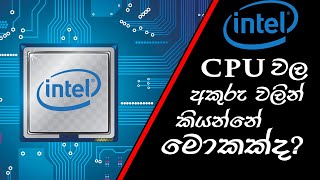 Intel CPU Letters ගැන හැමදේම තේරෙන සිංහලෙන් [upl. by Blackman880]