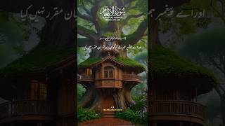 Surah Al Anaam verses 106110  Quran Translation Urdu Quran shorts ytshorts youtubeshorts [upl. by Gert]