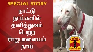 Special Story on Rajapalayam Dogs  Thanthi TV [upl. by Fleisig814]