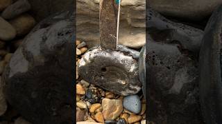 Removing rock from Eroded Ammonite [upl. by Charlet]