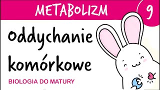 Metabolizm 9  Oddychanie 🫁 komórkowe tlenowe jako gra komputerowa 🎮  biologia do matury [upl. by Nnyre]