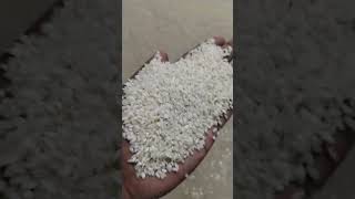 Idly rice ricemill videokerala rice milltrichy ricemillmadurai ricerice in tamilnaduidly rice [upl. by Myrilla]