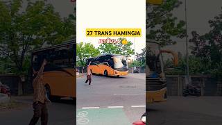 PESONA BUS 27 TRANS HAMINGJA‼️ 27trans jetbus5 shortvideo busmania [upl. by Adolf]