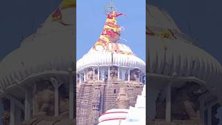 Dipatie Mote Karidia Prabhu jagannath jagannathbhajanbhajanodia odiabhajanshortsviralshorts [upl. by Azpurua]