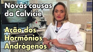 Calvície  Ação dos Hormônios Andrógenos  Novo conceito sobre a causa da calvície [upl. by Annoel]