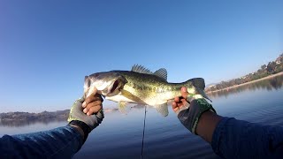 Fall bass fishing at Puddingstone Lake [upl. by Barbi847]