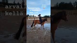 Jalustin vähänniiku lähti jalassa mut en sentää tippunu tonne kuralätäkköön🫠 pony Ripa equestrian [upl. by Niuqram694]