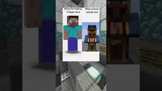 Funny Minecraft Memes [upl. by Akerehs]