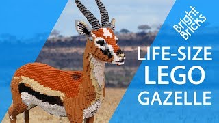 LifeSize LEGO Gazelle [upl. by Liahus774]