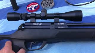 GAMO URBAN 22  PCP AIR RIFLESetup features review and target shooting [upl. by Scandura]