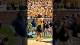 Luther Burden III TD Catch 🏈🤝🐅  Mizzou mizzou touchdown catch sec collegefootball [upl. by Geraint]