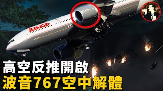 一架載有223人的客機，萬米高空突然失控，飛機俯衝墜向山林Lauda Air Flight 004 [upl. by Araz]