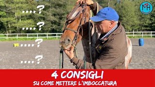 4 consigli su come mettere limboccatura anche a cavalli difficili [upl. by Calbert967]