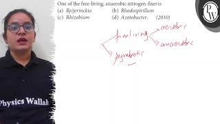 One of the freeliving anaerobic nitrogenfixer is a Beijerinckia b Rhodospirillum c Rhizo [upl. by Marnia]