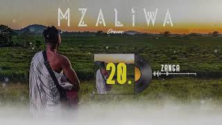 DRIEMO  ZANGA official audio visualizer Mzaliwa malawi afrobeat [upl. by Eberle]