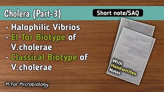 CholeraPart3  Halophilic vibrios  E1 Tor biotype  Classical biotype  V cholerae  Short note [upl. by Chi]