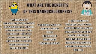 Nannochloropsis Production  SQ21803  Group Assignment [upl. by Akiem]