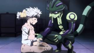 AMV Hunter x Hunter  King Again [upl. by Arej]