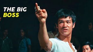 Bruce Lee  The Big Boss  1971  Movie Explained in Hindi [upl. by Tullius]